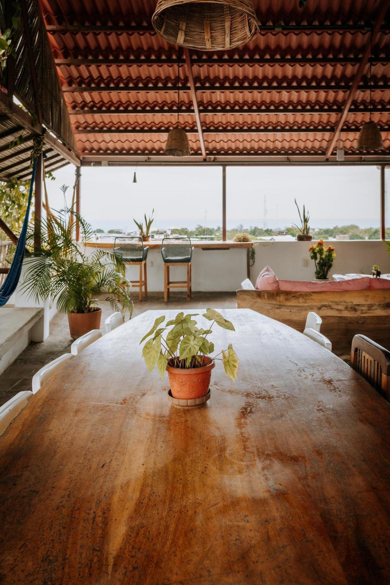 Terraza Puerto Hostel Puerto Escondido  Dış mekan fotoğraf