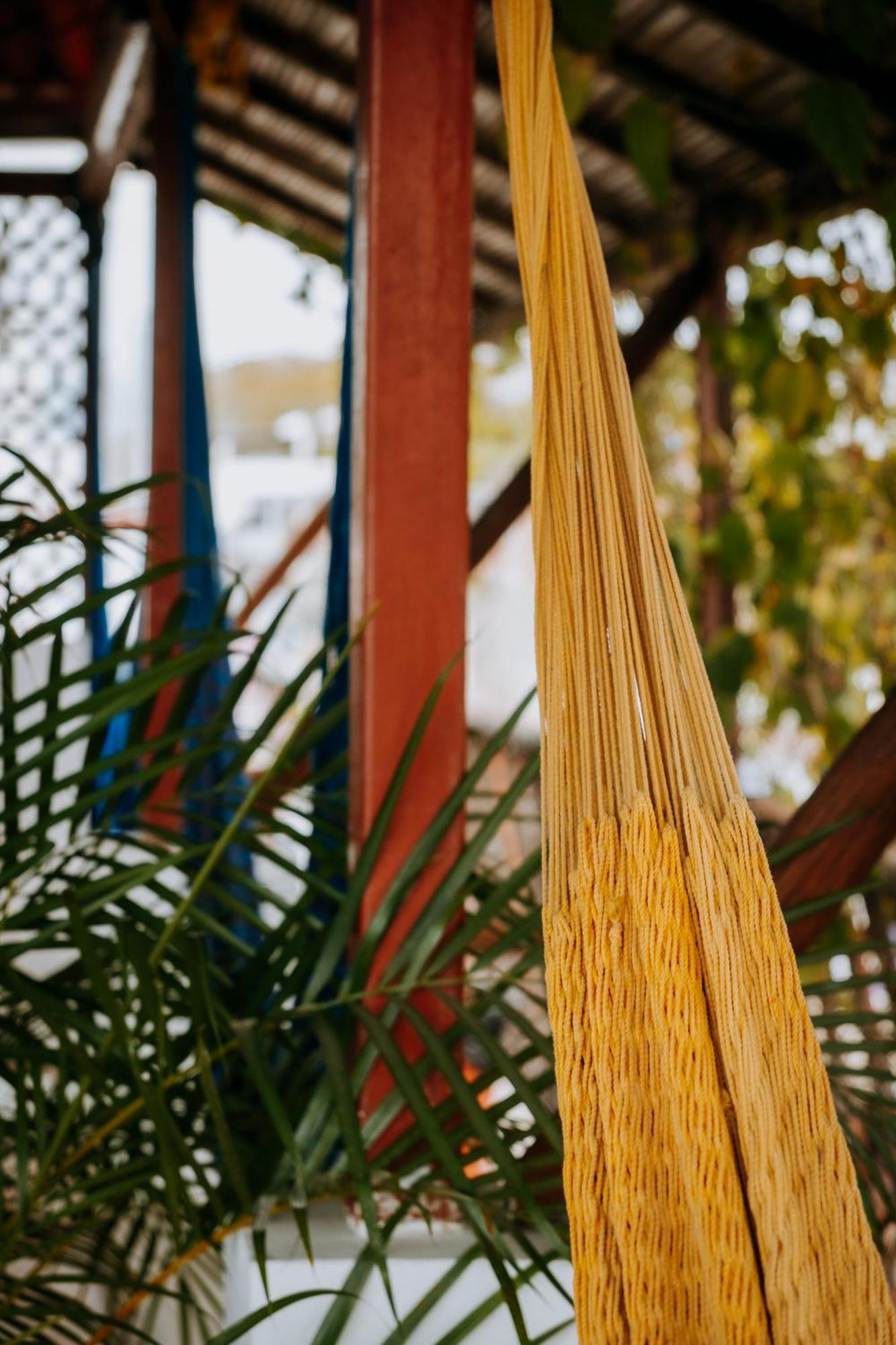 Terraza Puerto Hostel Puerto Escondido  Dış mekan fotoğraf
